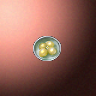 50022_big.png