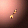 50038_big.png