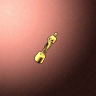 50040_big.png