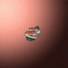 50092_big.png