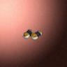 50094_big.png