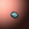 50255_big.png