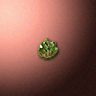 50257_big.png