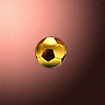 50265_big.png