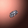 50605_big.png