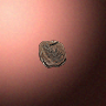 50608_big.png
