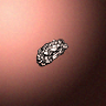 50610_big.png