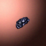 50613_big.png