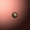 50623_big.png