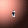 50631_big.png