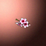 50701_big.png