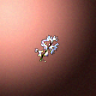 50705_big.png