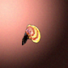 50706_big.png