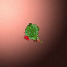 50708_big.png