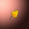 50709_big.png