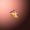 50712_big.png