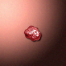 51518_big.png