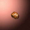 51521_big.png