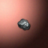 51522_big.png