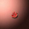 51571_big.png