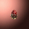 55402_big.png