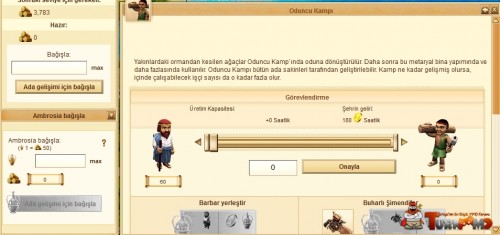 17.jpg