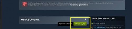 metin2steam3.jpg