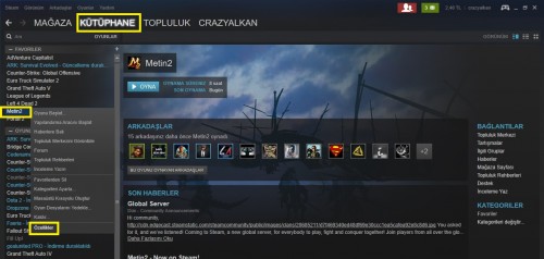 metin2steam4.jpg