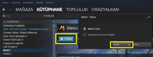 metin2steam6.jpg