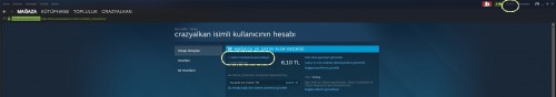 Steam6.jpg
