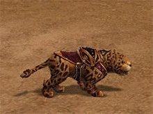 Leopar_Yavru_Animasyon.gif