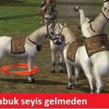 mt22.png