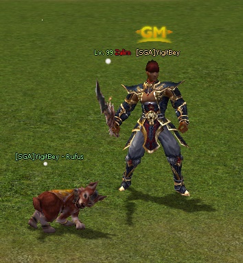 pet3.jpg