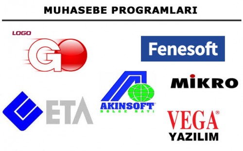 muhasebe programlar