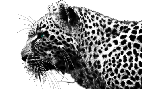 cheetah png by doraedits d4veoap