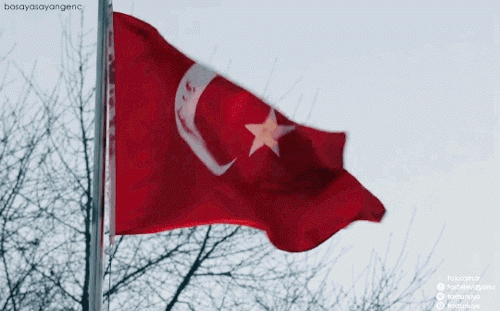 1496853284_tumblr_oo6zb3kNzr1s22rc8o1_500.gif