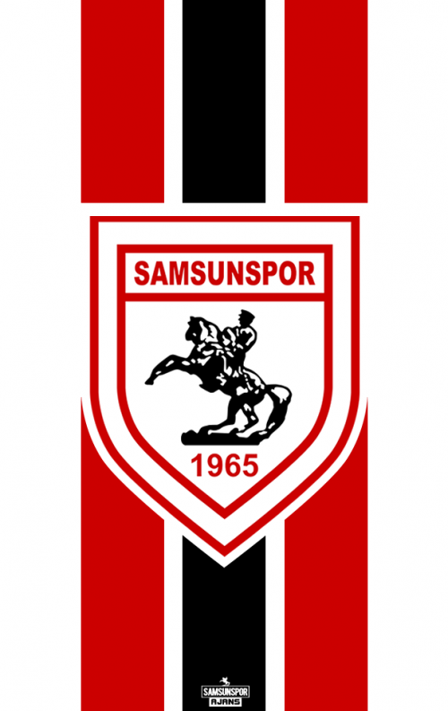 samsunspor.png