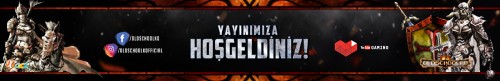 gr29d3.jpg