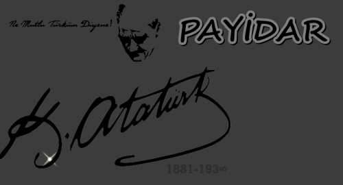 ax28b3498010533585.png