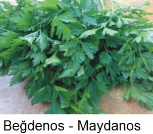 Begdenos---Maydanos.jpg