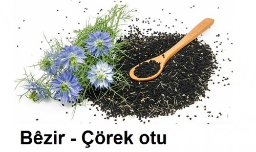 Bezir---Corek-otu.jpg