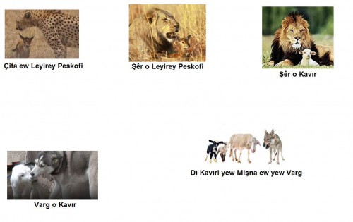Cepi-yemno-Seyd-Seydar2.jpg