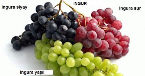 Ingur.jpg