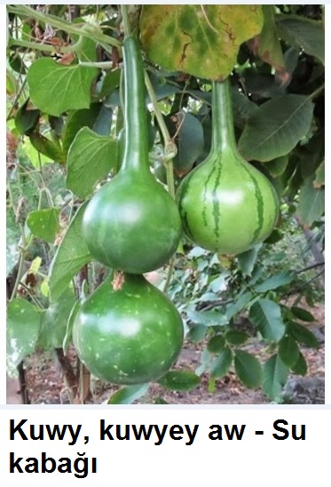 Kuwy-kuwyey-aw---Su-kabagi-2.jpg