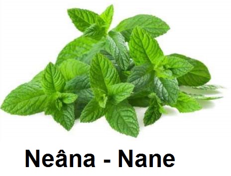 Neana---Nane.jpg