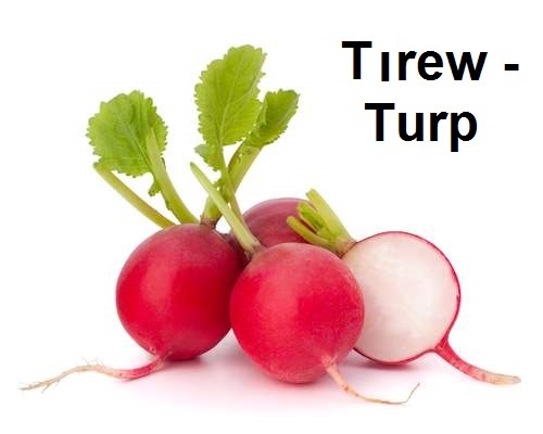 Tirew---Turp.jpg
