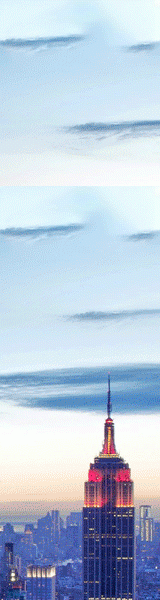 160x600.gif