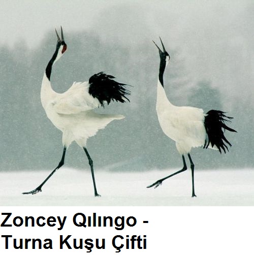 Zoncey-Qilingo---Turna-Kusu-Cifti-2.jpg