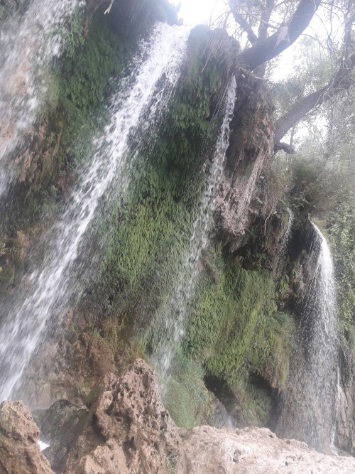 20190816_125130.jpg
