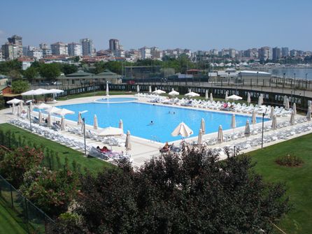 2011-03-06_yuzmehavuzu1.jpg